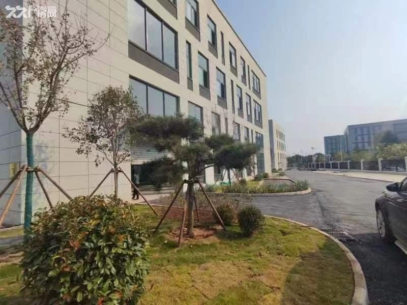 位置好 独栋厂房 现房交通方便 - 5