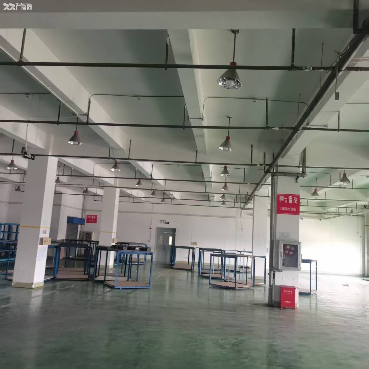 自由贸易区外高桥片区库房招租