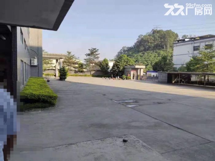 形像好,近深圳 塘厦沙湖工业园内楼上厂房出租 绿色地坪漆 - 4