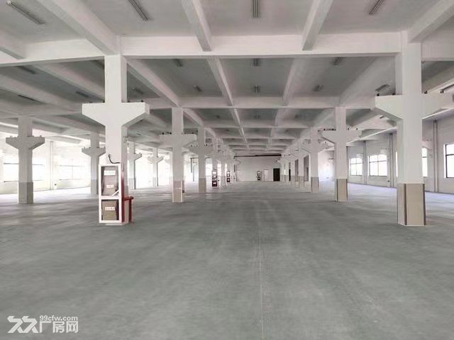 松江新浜工业区独院双层厂房出租，4000平方米起租 - 4