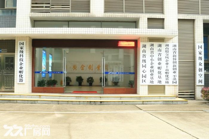 出租望城黄金创业园917.7平方生产场地 - 2