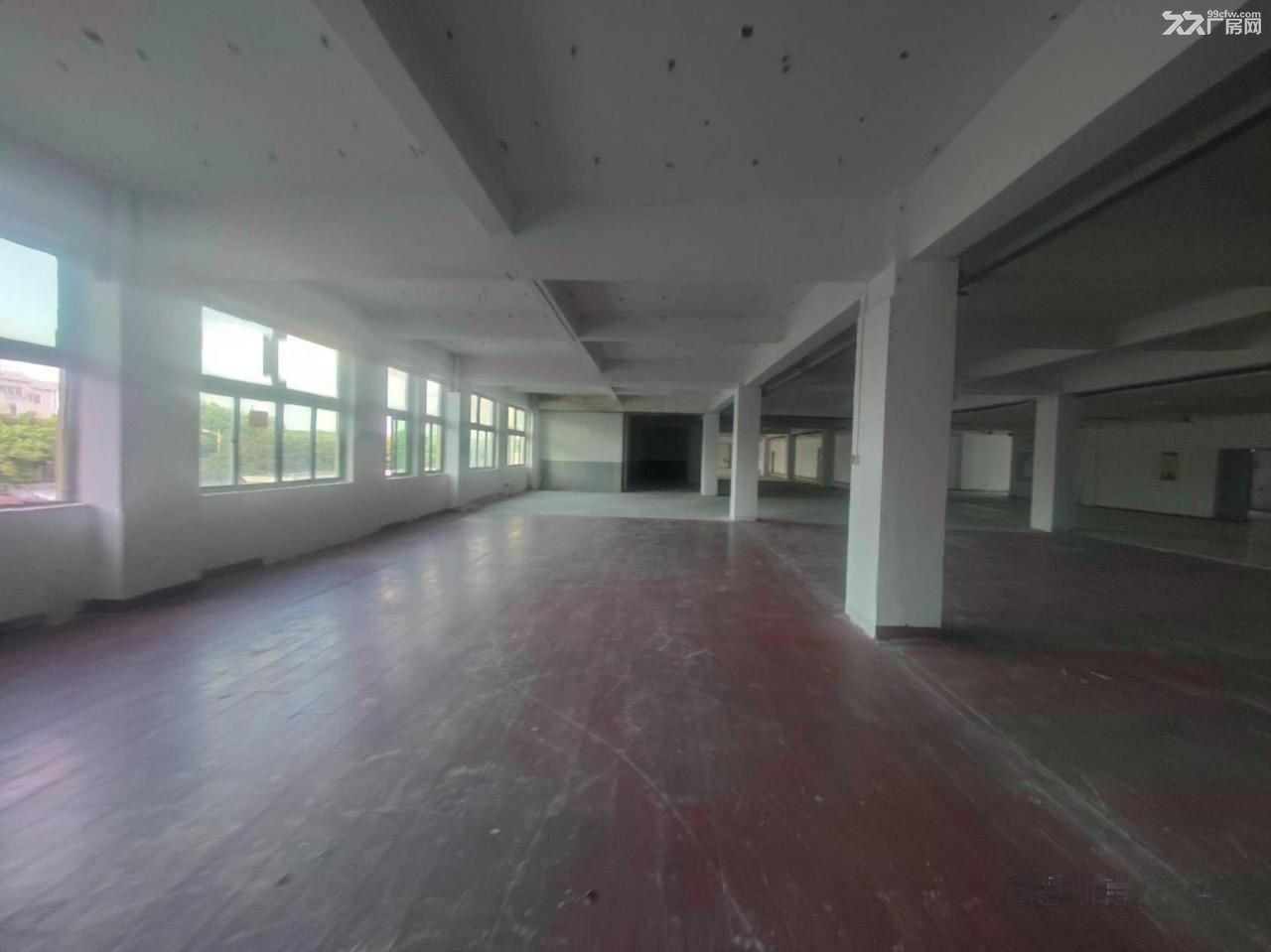 靓房源2000.00平南北笋价急租 - 7