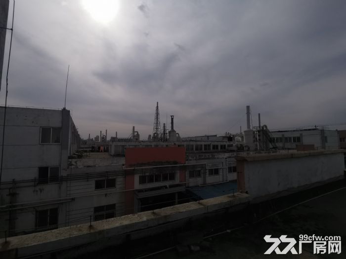 个人出租南京六合化工园电镀厂1165平 - 7