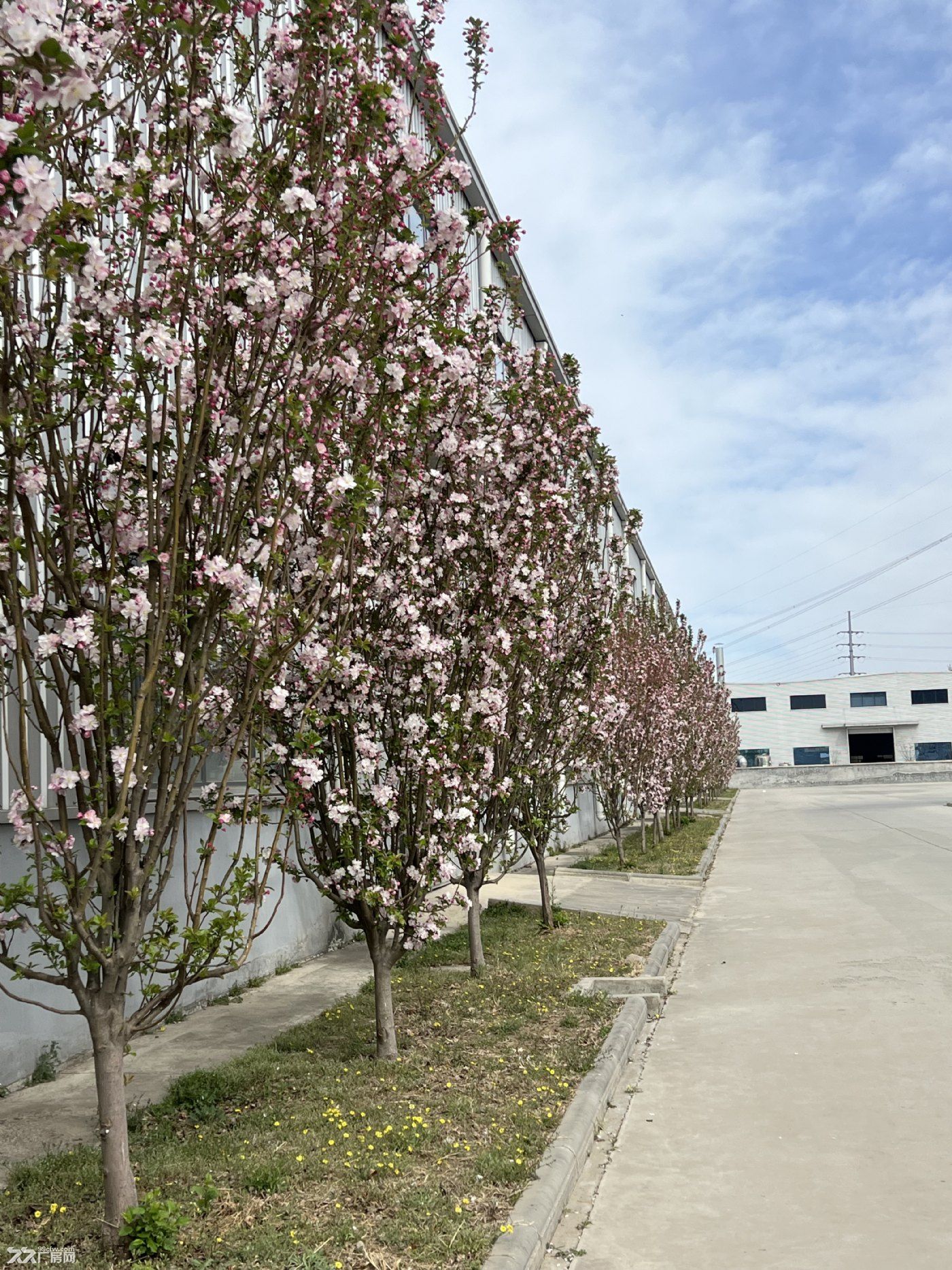出租天津蓟县丙类厂房可仓储机械加工带办公住宿 - 4