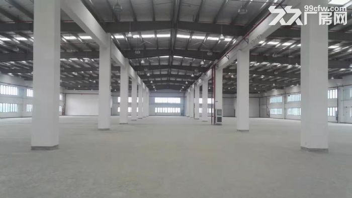 奉贤金汇独门独院原房东多层厂房仓库31000平对外出租 - 3
