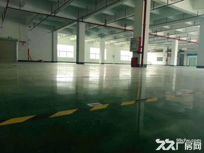 台山工业新城工业园一楼准厂房仓库650平方招租