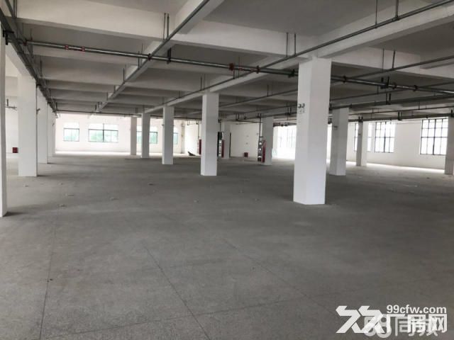 个人.将军大道1到2楼4000平米标准厂房 - 5