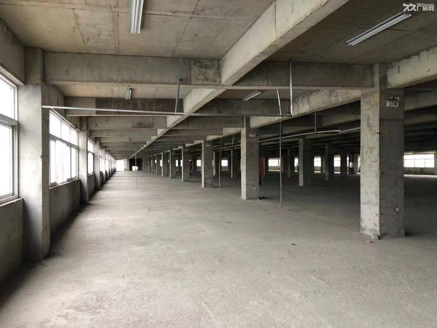 弋江区高新区二楼4500㎡厂房 - 2
