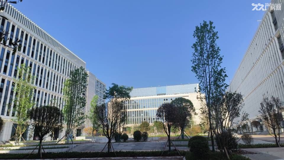 达州高品质 厂房写字楼 低价出租 - 8