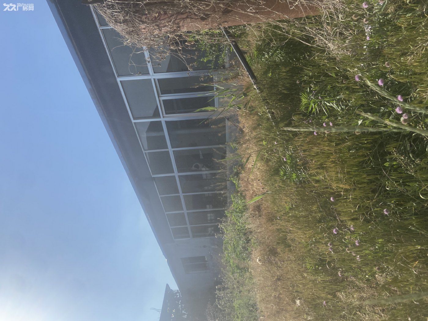 急租！潍坊市寒亭区独院厂房车间仓库便宜出租总面积2000+，可分租可整租 - 5