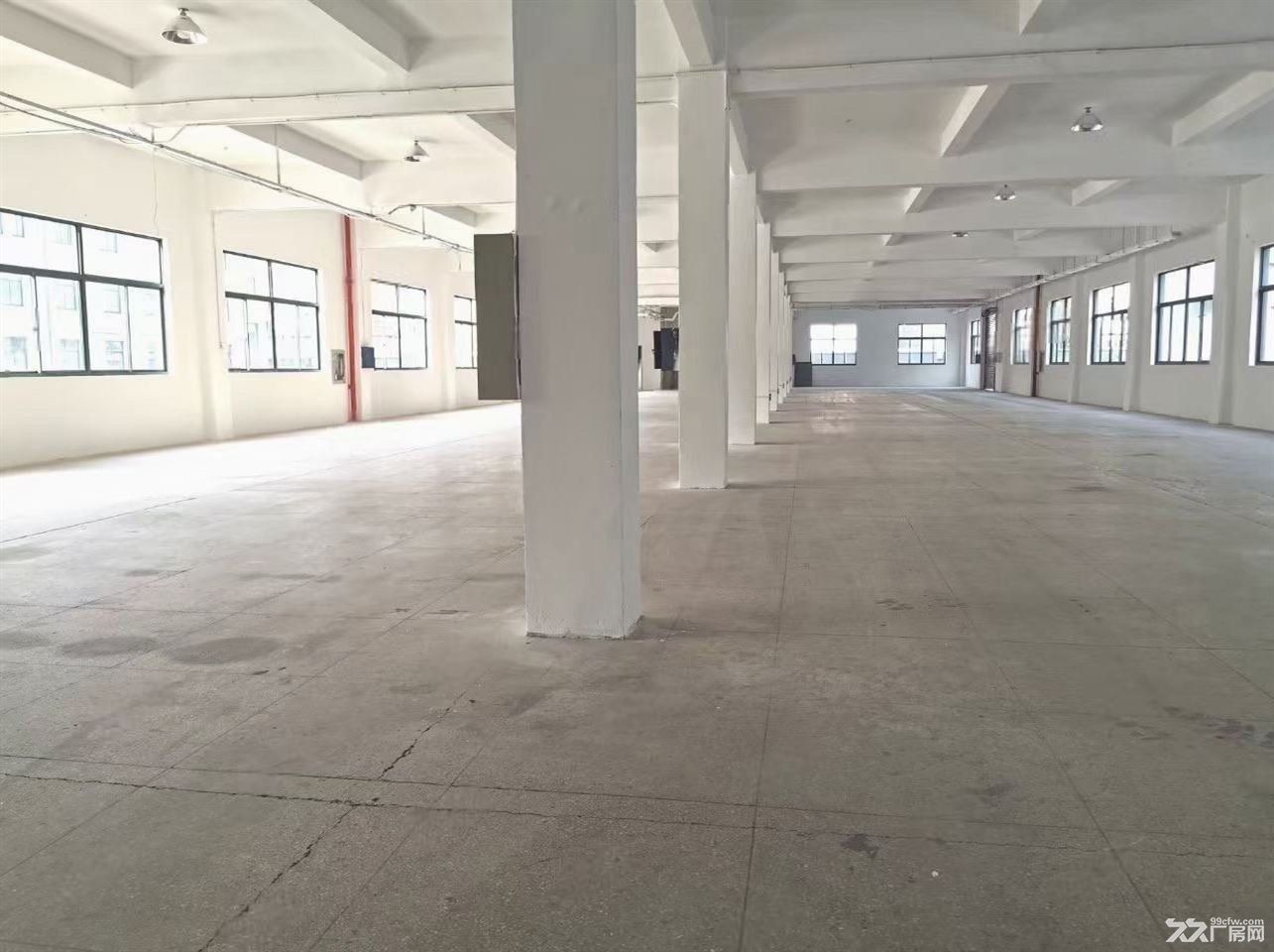 周浦大房东直租近地铁站可办公研发仓储大车进车停车方便 - 7