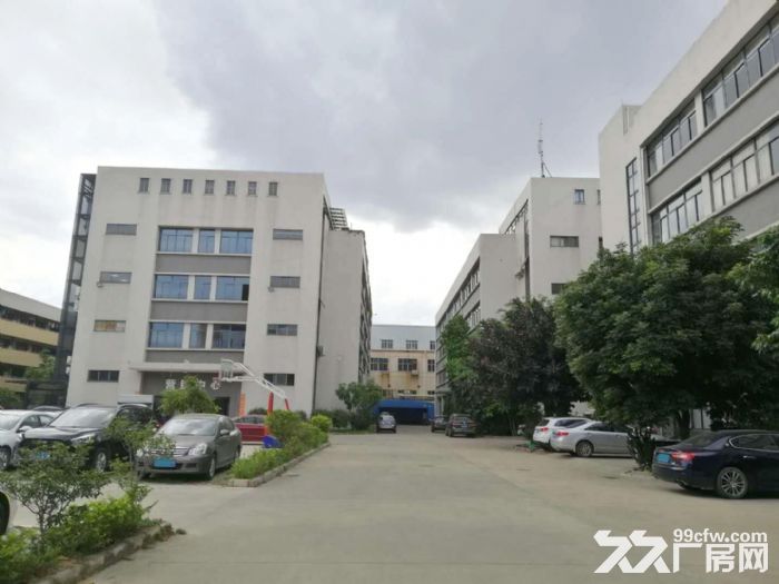 番禺大龙凌边村新出标准厂房3100平出租，面积实量，可办环评 - 4