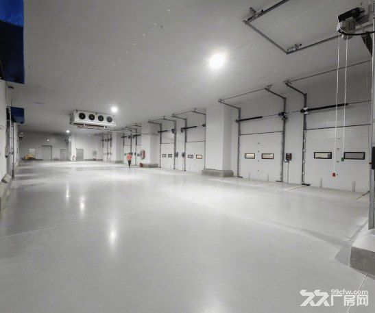 青浦大型高标准冷库出租恒温仓冻库冷藏2000平起租 - 2