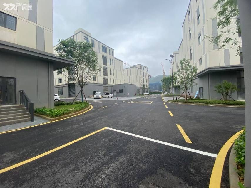 石井框架小独栋产权分割厂房 - 6