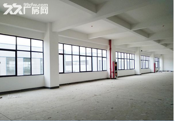 钢结构,框架厂房可租可售 - 7