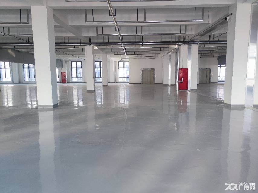 淄博张店联通路标准厂房 - 4