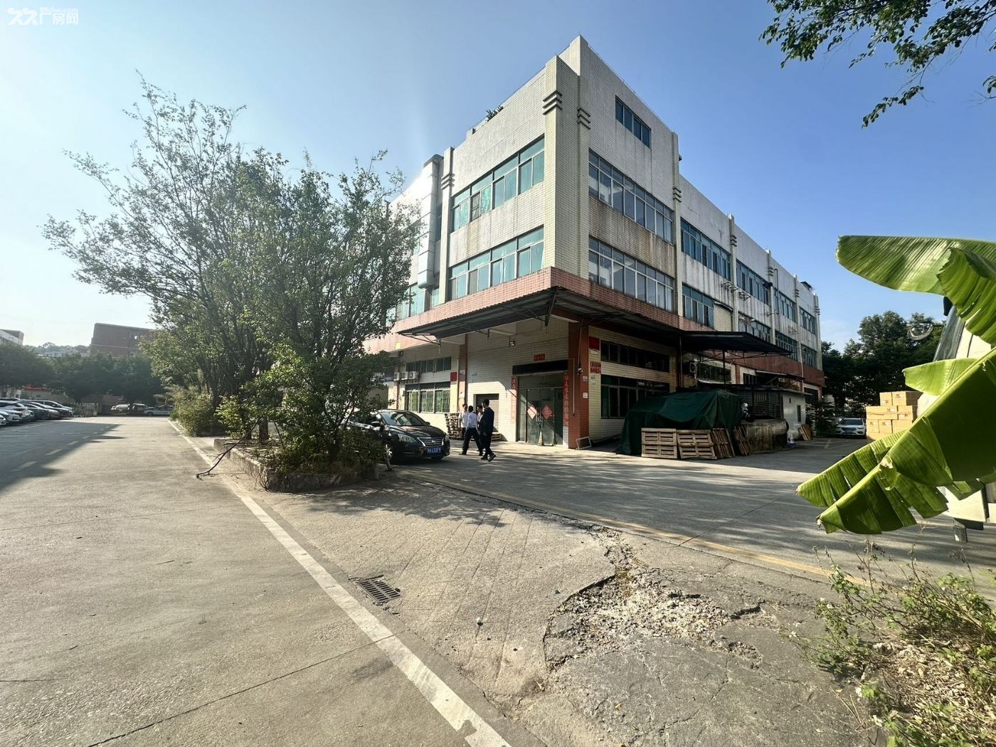 黄埔区云埔工业区12元厂房出租
