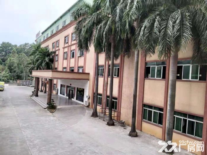 台山水步镇工业区带喷淋消防独院标准厂房2800平方出租