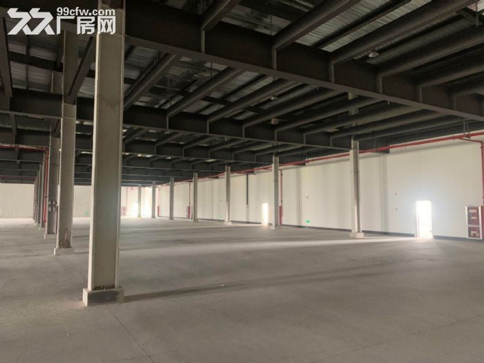 A湖东新建单层标准厂房  可分租  随时可看 - 2