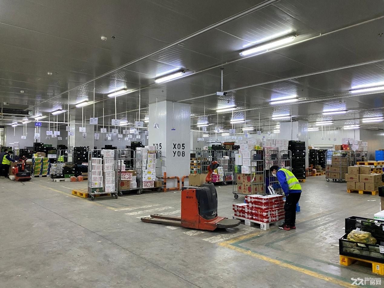 （稀缺资源）虹桥商务区6万㎡高标仓招商 | 7.8米层高+全卸货平台+冷链支持等 - 6