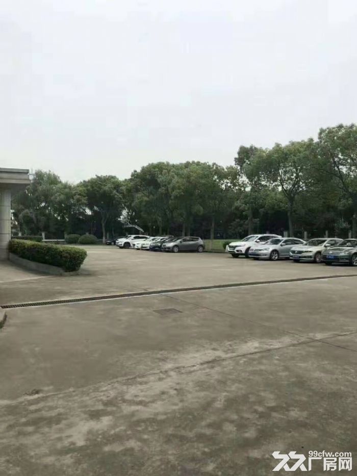 临港新城 独栋全单层厂房高14米大房东直租可加工仓储 - 2