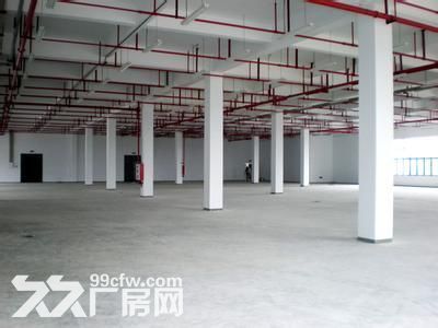 个人.双龙大道旁二楼2800平米电子加工厂房.已精装修 - 8