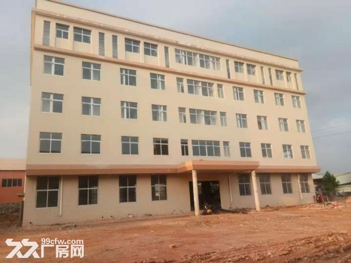 台山工业新城二次消防喷淋全新独门独院厂房1-2层出租 - 6