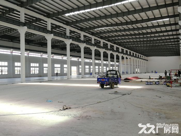 V江宁单层多层仓库厂房分租1000平共50000平 - 4