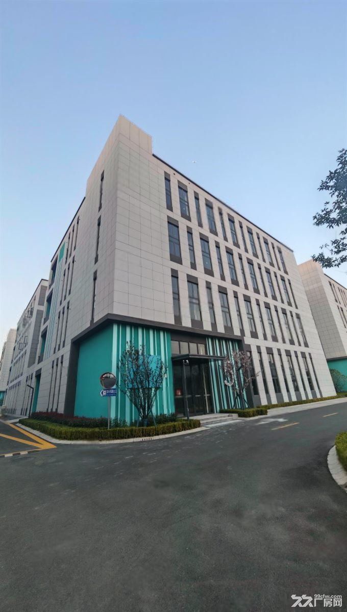 松江核心地段花园办公厂房主干道旁有轨电车超长免租期底价出租 - 7