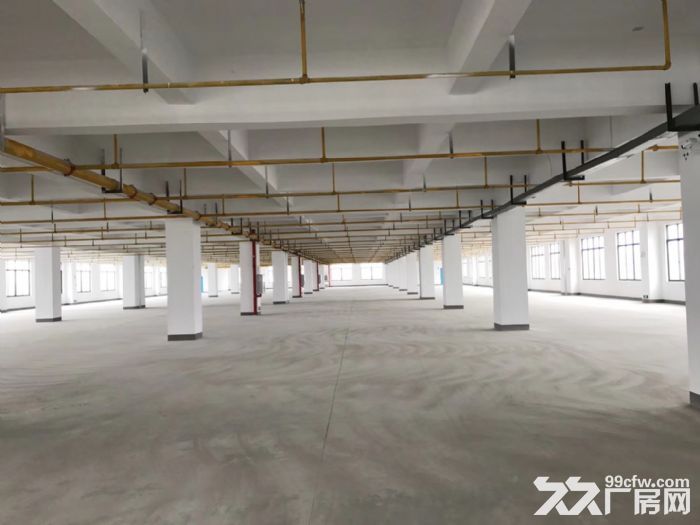 阳逻7000平米一楼带蒸汽厂房可生产仓储,配套齐全,用电充足 - 2