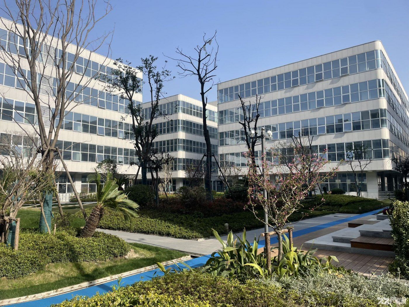 保税区内地铁旁无税收一手大房东直租 - 2