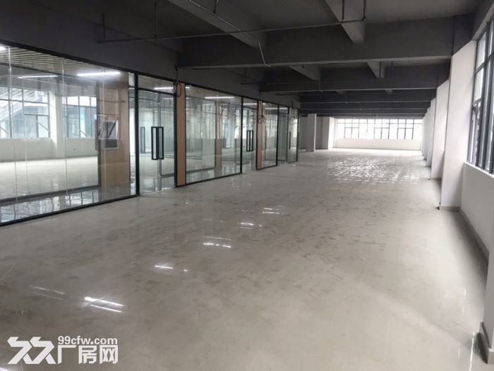 龙岗吉祥地铁口独院精装厂房，3500平，可签5−8年，红本现房，可办环评 - 4