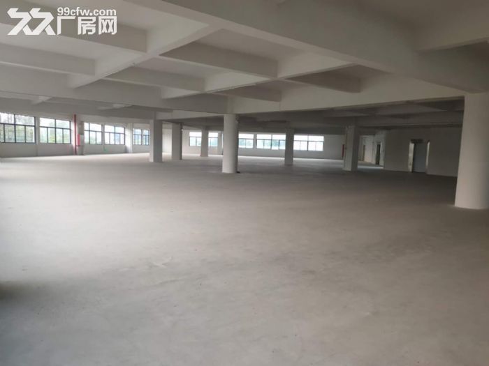 小榄泰丰全新厂房出租可分租 - 2