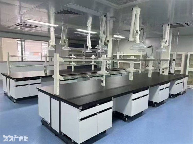张江药谷核心区《精装P2实验室出租》 - 6