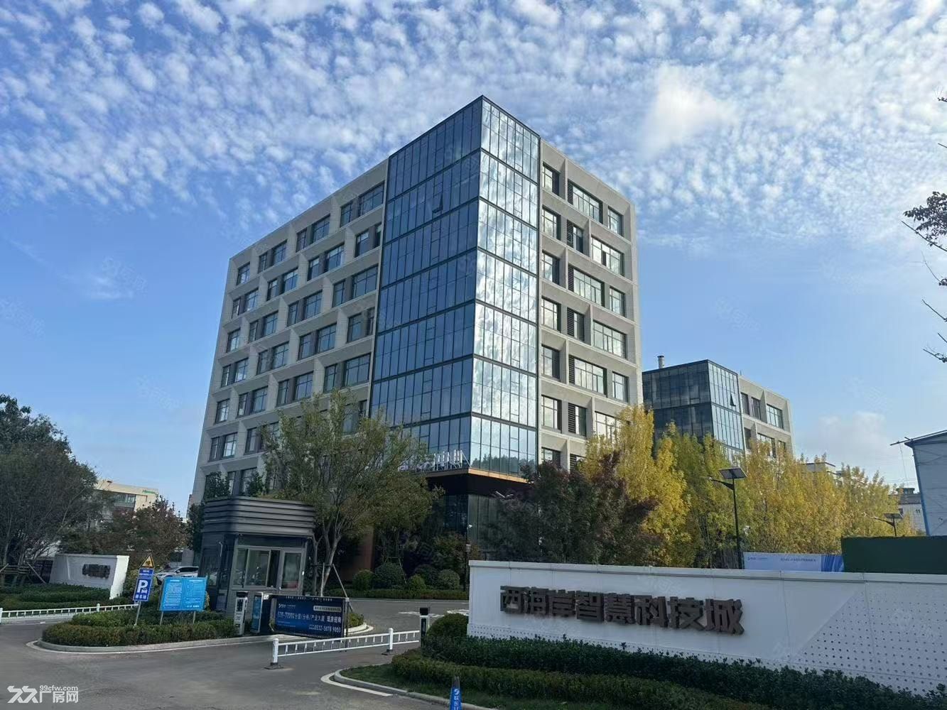 租售!黄岛现房厂房办公楼，独栋大平层500-5000平手续齐全 - 3