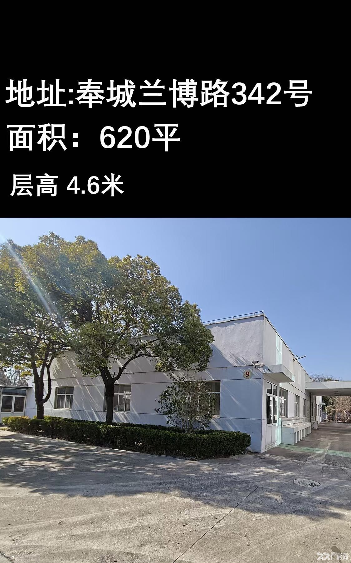 标准厂房,房东直租,价优! - 4