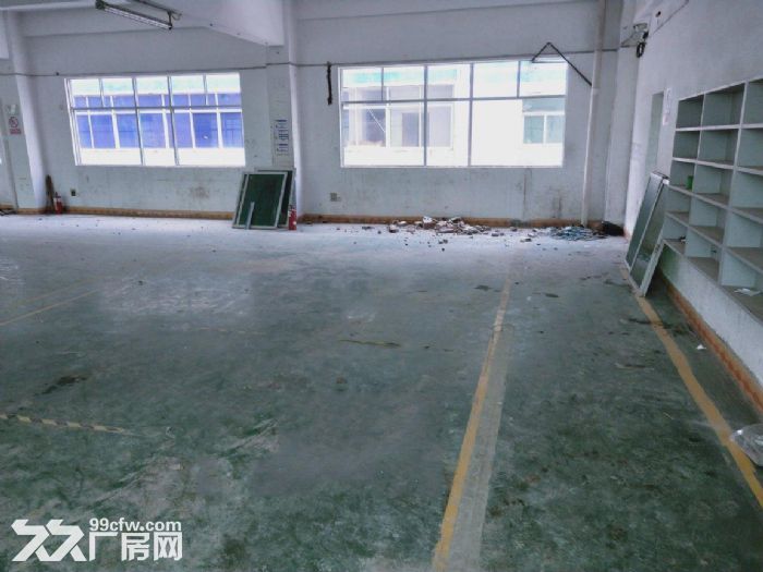 龙岗嶂背原房东3000平独栋厂房,可分租,在主干道,人流量大 - 5