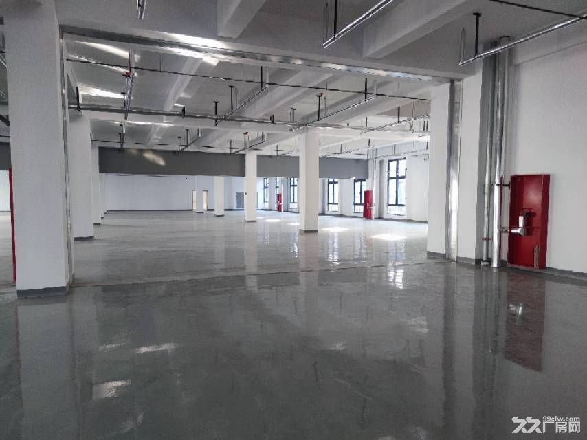 淄博联通路东高标准厂房 - 2