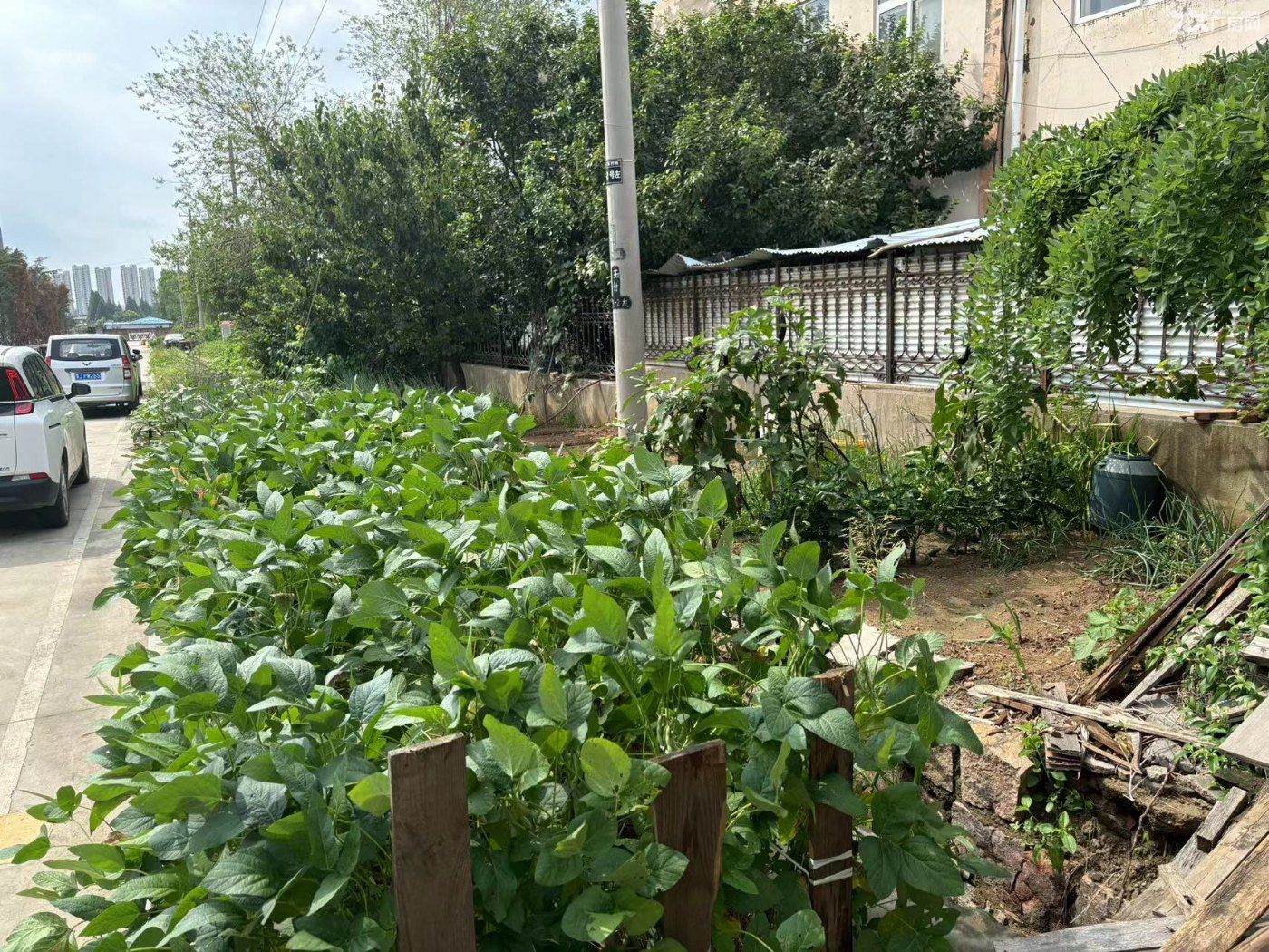 1500平厂房出租 有行车,高7米,有单独配电室和变压器。 - 2