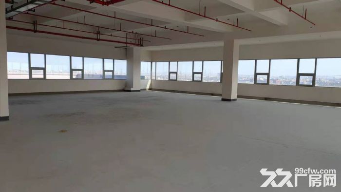 嘉兴高照街道加创路3900平米标准厂房出租