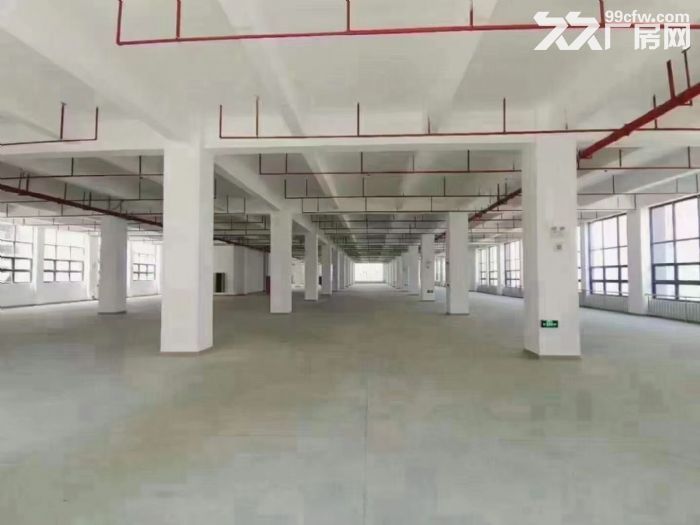 深圳松岗高速出口原房东红本高新产业园研发厂房优惠招租 - 2