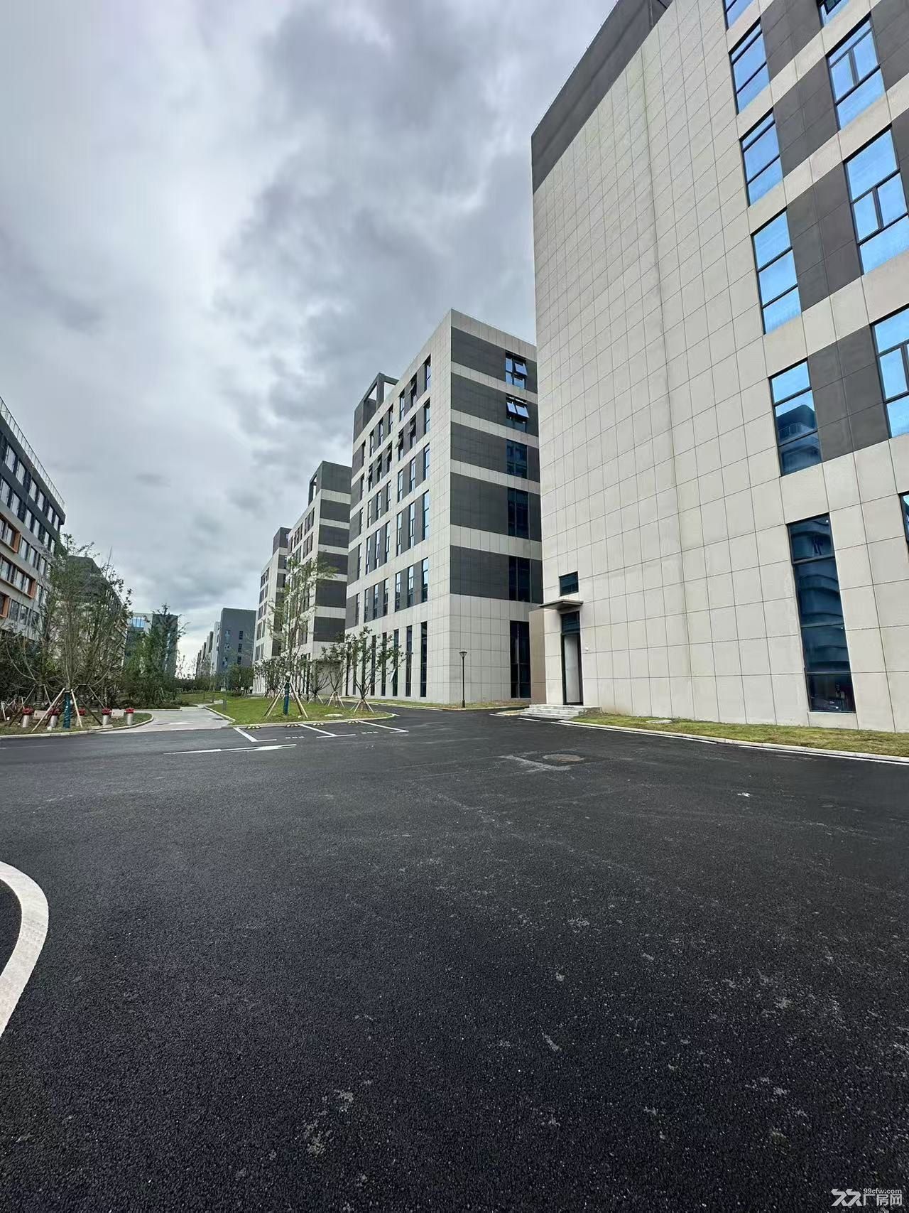 全新厂房价格实惠，福利多多整个奉贤性价比最高厂房
