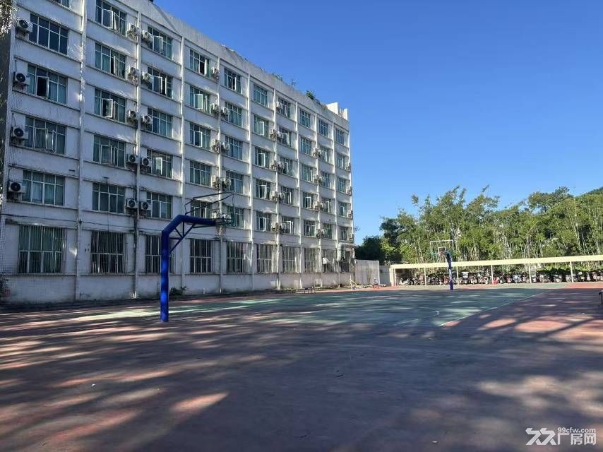 黄埔区知识城层高12米工业厂房出租 - 5