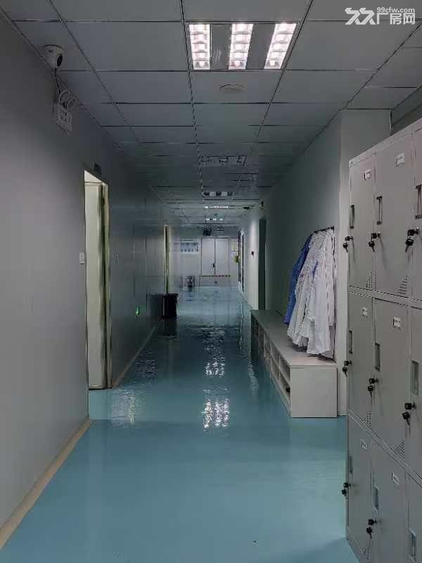 联东U谷现有闲置洁净厂房出租/转让 - 6