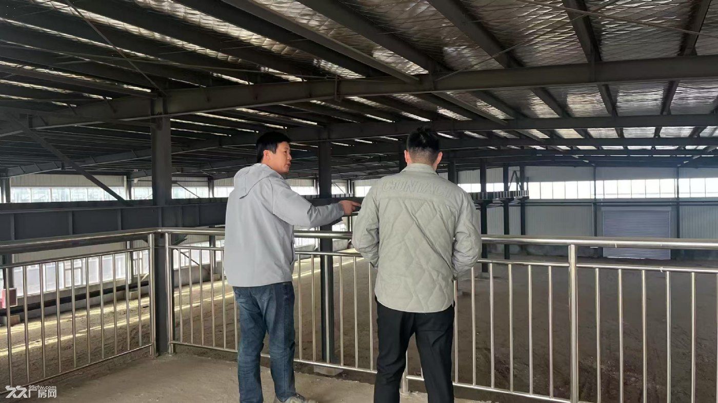 绿天使潍坊产业园新建单层厂房证件齐全 交通方便 村庄集聚 - 3
