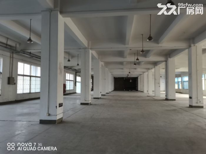 嘉兴高照街道加创路3900平米标准厂房出租 - 2