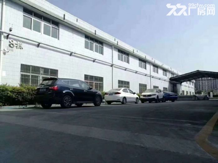 光明高速出口松白路旁 单一层钢构厂房出租6500平