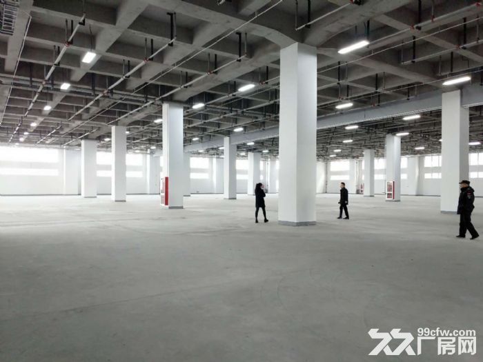 104地块实验室、办公楼、标准厂房出租可分割多重政策优惠,具备生物医药研发/生产 - 7