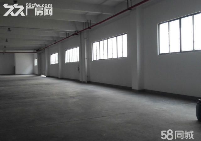 (出租) 个人.江宁1到3楼21000平米独栋厂房 - 3
