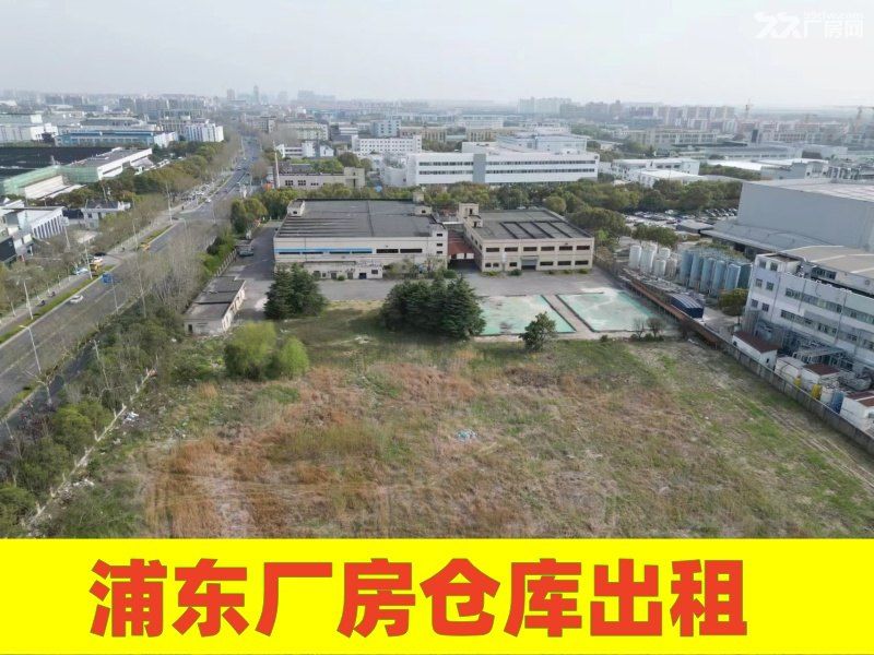 川沙路金桥南区最新笋盘12696平